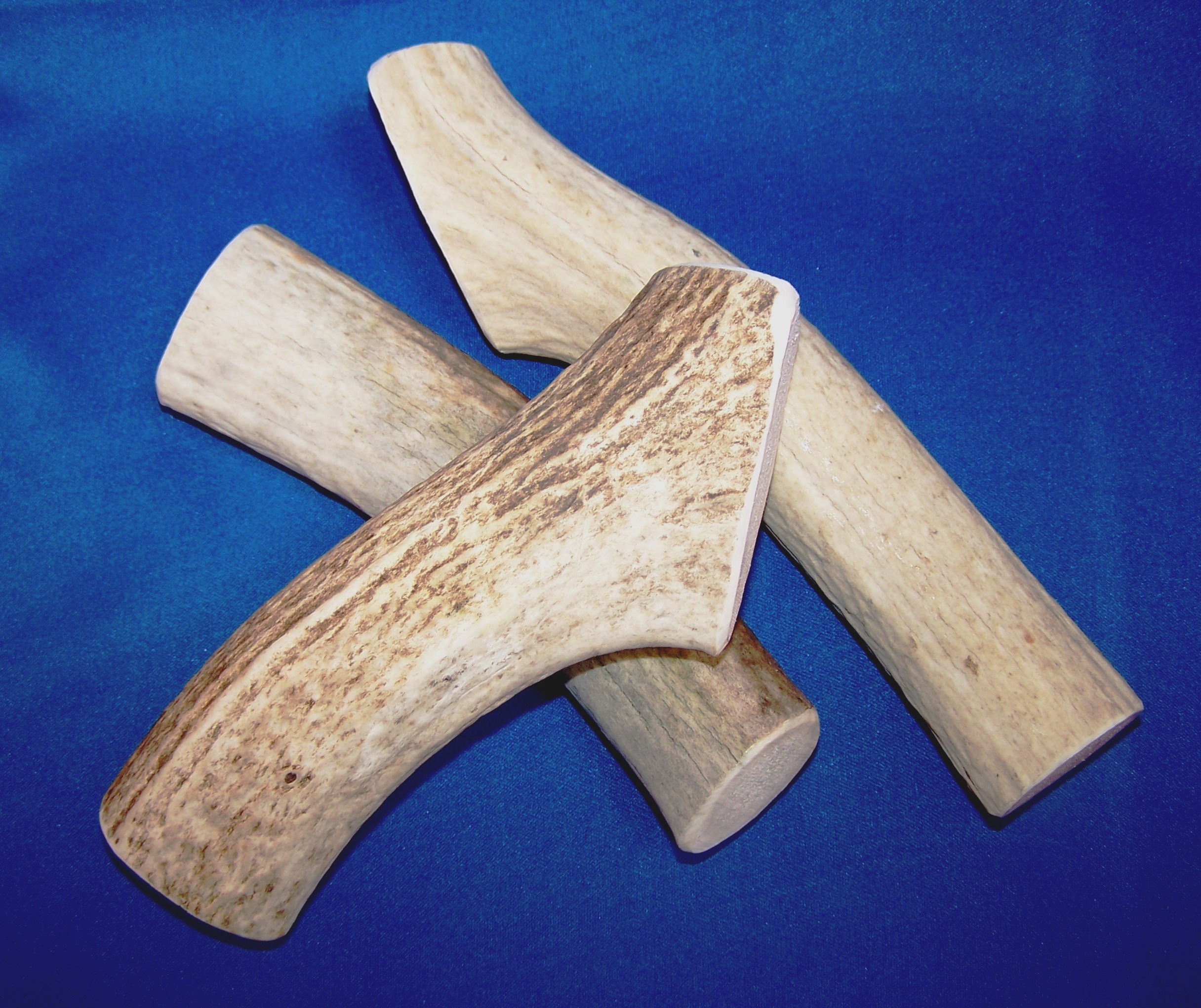 Global Pet Foods Dog Antler Chew Global Pet Foods Dog Antler Chew