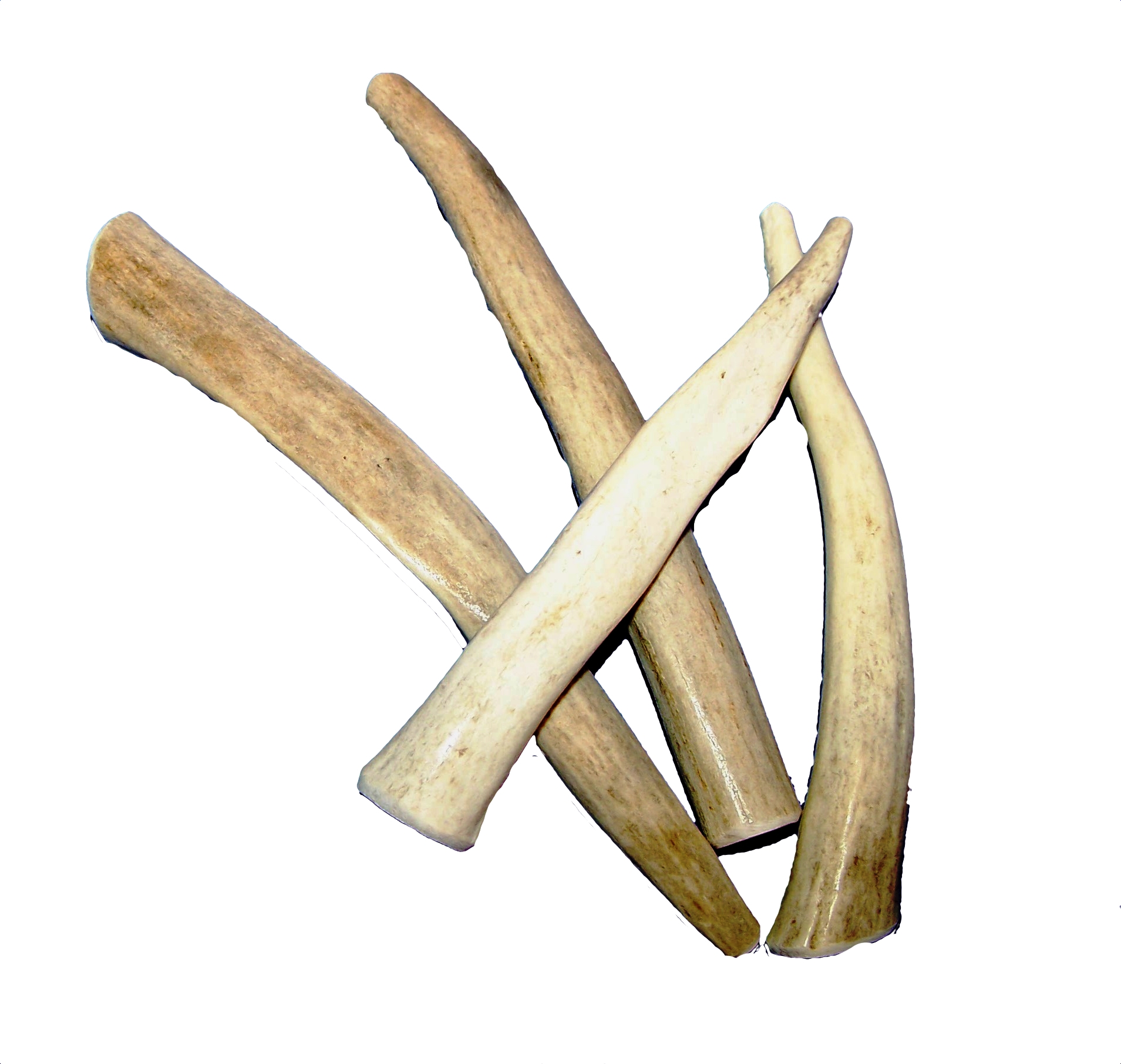 antler chews antler chew nature s own chews antler chews antler chew nature s own chews