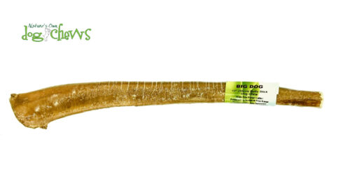 Big Dog Bully Stick (12"/30cm)
