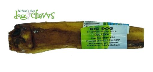 Big Dog Bully Stick (6"/15cm)