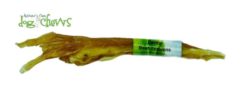 Dental Tendons (6-9" / 15-23 cm long)